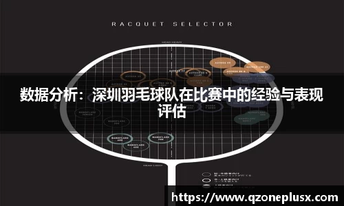 数据分析：深圳羽毛球队在比赛中的经验与表现评估