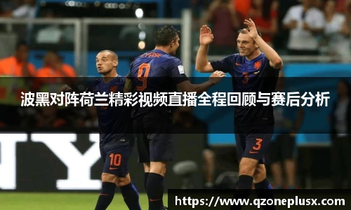 波黑对阵荷兰精彩视频直播全程回顾与赛后分析